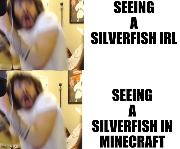 SEEING A SILVERFISH IRL; SEEING A SILVERFISH IN MINECRAFT | image tagged in minecraft,penguinz0 | made w/ Imgflip meme maker