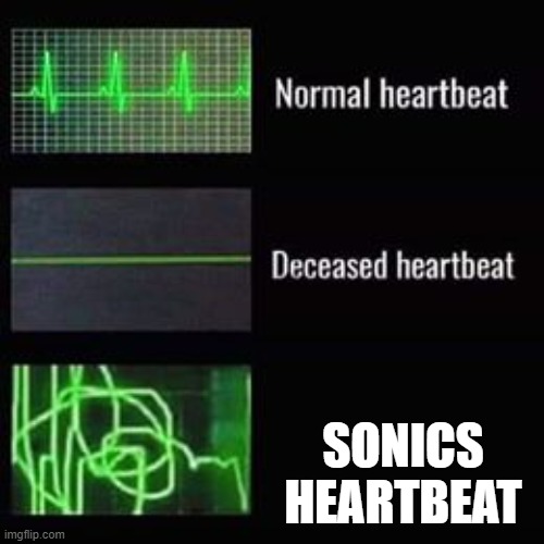 The sensor gotta go fast | SONICS HEARTBEAT | image tagged in heartbeat rate | made w/ Imgflip meme maker