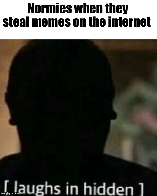 Ah yes a meme | Normies when they steal memes on the internet | image tagged in funny | made w/ Imgflip meme maker