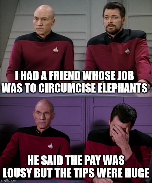 Picard Riker listening to a pun | I HAD A FRIEND WHOSE JOB WAS TO CIRCUMCISE ELEPHANTS; HE SAID THE PAY WAS LOUSY BUT THE TIPS WERE HUGE | image tagged in picard riker listening to a pun | made w/ Imgflip meme maker
