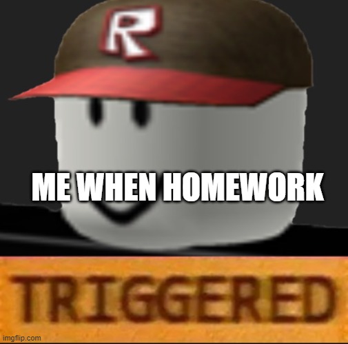 Roblox Triggered | ME WHEN HOMEWORK | image tagged in roblox triggered | made w/ Imgflip meme maker