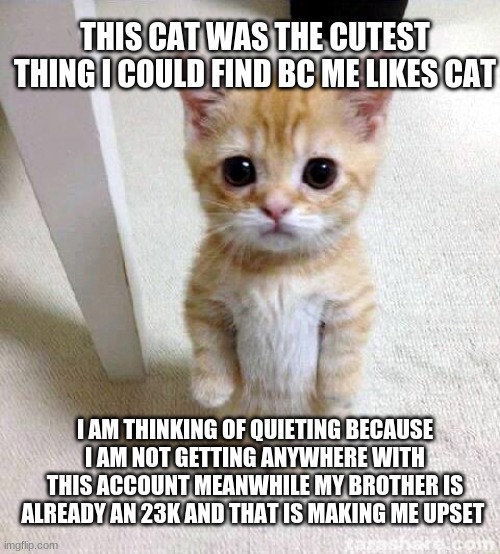 im getting nowhere so ima see what happens to my acount in 3 days and i im not getting anywhere ima stop posting | THIS CAT WAS THE CUTEST THING I COULD FIND BC ME LIKES CAT; I AM THINKING OF QUIETING BECAUSE I AM NOT GETTING ANYWHERE WITH THIS ACCOUNT MEANWHILE MY BROTHER IS ALREADY AN 23K AND THAT IS MAKING ME UPSET | image tagged in memes,cute cat | made w/ Imgflip meme maker