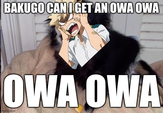 Bakugo: | BAKUGO CAN I GET AN OWA OWA; OWA OWA | image tagged in anime meme,bakugo,owa owa,pudgy | made w/ Imgflip meme maker