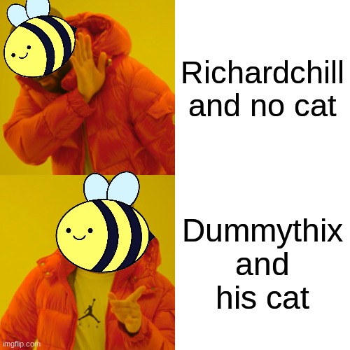 beez/kami endorses Dummythix | Richardchill and no cat; Dummythix and his cat | image tagged in memes,drake hotline bling | made w/ Imgflip meme maker