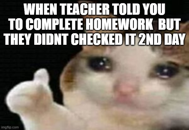 Just happend with me | WHEN TEACHER TOLD YOU TO COMPLETE HOMEWORK  BUT THEY DIDNT CHECKED IT 2ND DAY | image tagged in crying cat thumbs up | made w/ Imgflip meme maker