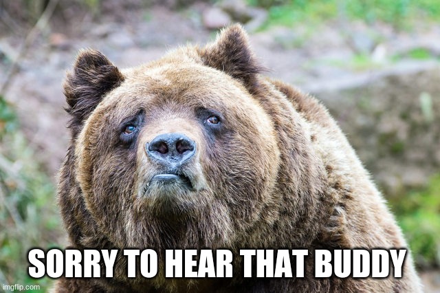 Sorry Buddy | SORRY TO HEAR THAT BUDDY | image tagged in sorry buddy | made w/ Imgflip meme maker