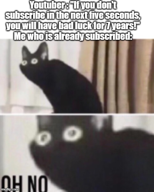 Uh oh... | Youtuber : "If you don't subscribe in the next five seconds, you will have bad luck for 7 years!"
Me who is already subscribed: | image tagged in oh no cat,subscribe | made w/ Imgflip meme maker