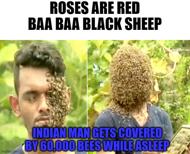 bee yourself | ROSES ARE RED
BAA BAA BLACK SHEEP; INDIAN MAN GETS COVERED BY 60,000 BEES WHILE ASLEEP | image tagged in bees,indian | made w/ Imgflip meme maker