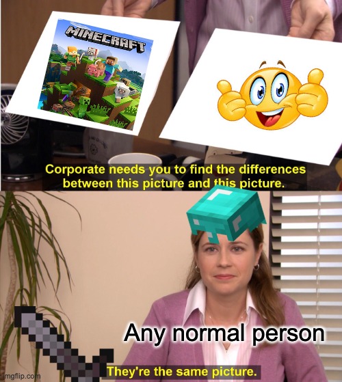 Any1 like minecraft? | Any normal person | image tagged in memes,they're the same picture,memenade | made w/ Imgflip meme maker