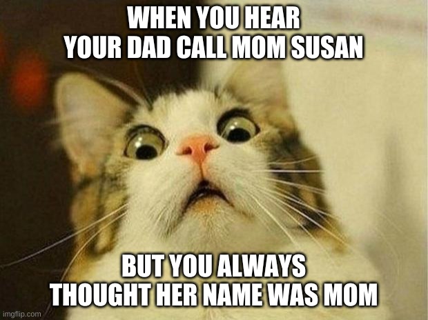 Scared Cat Meme | WHEN YOU HEAR YOUR DAD CALL MOM SUSAN; BUT YOU ALWAYS THOUGHT HER NAME WAS MOM | image tagged in memes,scared cat,mom | made w/ Imgflip meme maker