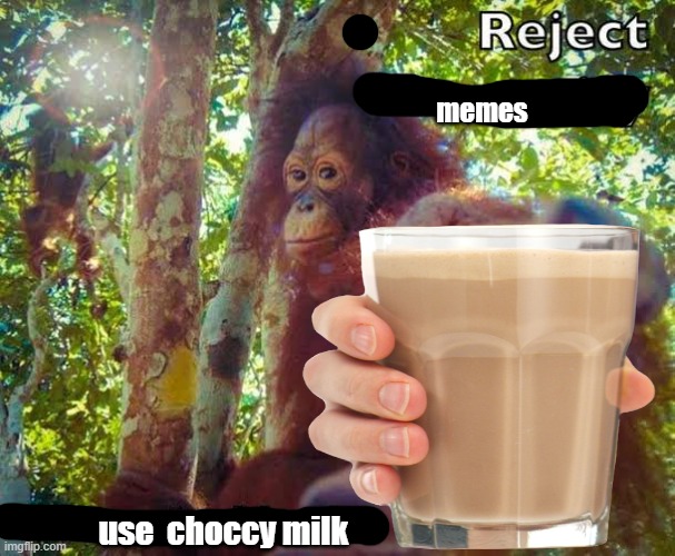 choccy milk | memes; use  choccy milk | image tagged in choccy milk,reject memes,fun,funny | made w/ Imgflip meme maker