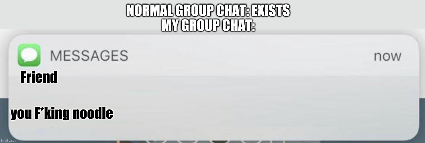 Messages | NORMAL GROUP CHAT: EXISTS
MY GROUP CHAT:; Friend; you F*king noodle | image tagged in messages | made w/ Imgflip meme maker