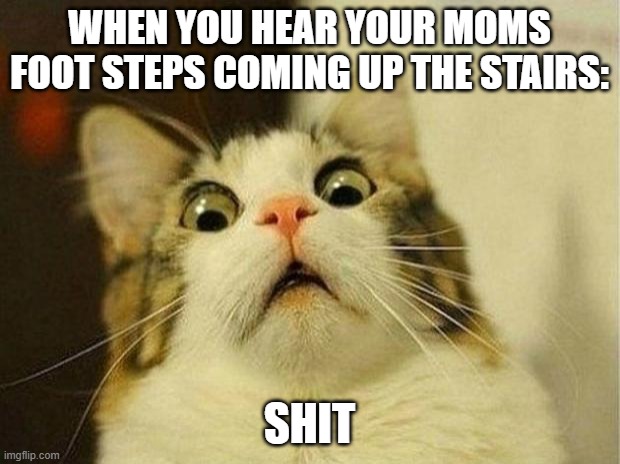 Living with mom | WHEN YOU HEAR YOUR MOMS FOOT STEPS COMING UP THE STAIRS:; SHIT | image tagged in memes,scared cat | made w/ Imgflip meme maker