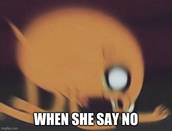 WHEN SHE SAY NO | made w/ Imgflip meme maker