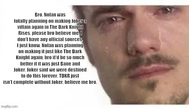 Geez, Joker was not confirmed for TDKR | Bro, Nolan was totally planning on making Joker a villain again in The Dark Knight Rises, please bro believe me. I don't have any official sources, I just know. Nolan was planning on making it just like The Dark Knight again, bro it'd be so much better if it was just Bane and Joker, Joker said we were destined to do this forever. TDKR just isn't complete without Joker, believe me bro. | image tagged in bro please bro,the dark knight,the dark knight rises,joker,the joker | made w/ Imgflip meme maker