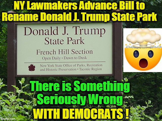 Still Hoping for a Vaccine Against Terminal TDS.... | NY Lawmakers Advance Bill to Rename Donald J. Trump State Park; There is Something 
Seriously Wrong; WITH DEMOCRATS ! | image tagged in political meme,tds,democrats,liberalism,insanity,wth | made w/ Imgflip meme maker