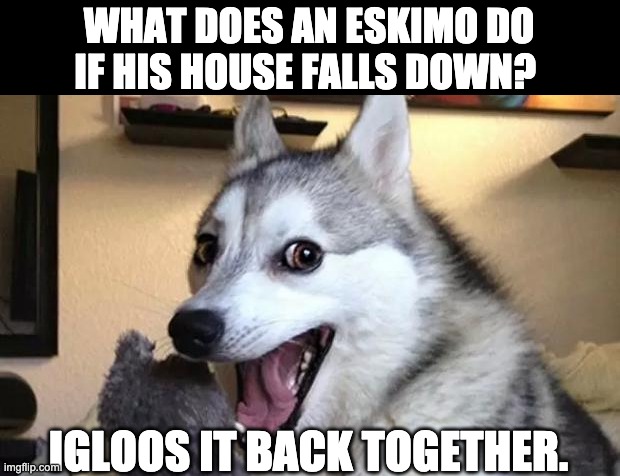 Eskimo humor | WHAT DOES AN ESKIMO DO IF HIS HOUSE FALLS DOWN? IGLOOS IT BACK TOGETHER. | image tagged in pun dog - husky | made w/ Imgflip meme maker