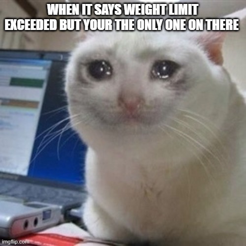 Crying cat | WHEN IT SAYS WEIGHT LIMIT EXCEEDED BUT YOUR THE ONLY ONE ON THERE | image tagged in crying cat | made w/ Imgflip meme maker