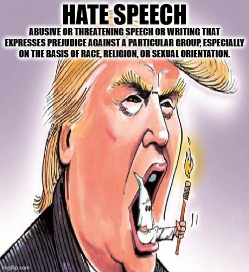 HATE SPEECH | HATE SPEECH; ABUSIVE OR THREATENING SPEECH OR WRITING THAT EXPRESSES PREJUDICE AGAINST A PARTICULAR GROUP, ESPECIALLY ON THE BASIS OF RACE, RELIGION, OR SEXUAL ORIENTATION. | image tagged in hate speech,abusive,threating,prejudice,race,religion | made w/ Imgflip meme maker