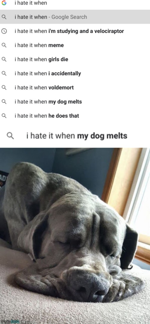 melt | image tagged in dog,doggo,funny,melting | made w/ Imgflip meme maker