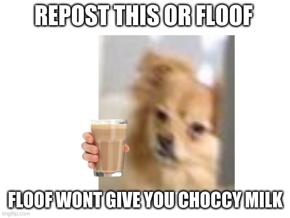 CHOCCY MILK | REPOST THIS OR FLOOF; FLOOF WONT GIVE YOU CHOCCY MILK | image tagged in blank white template | made w/ Imgflip meme maker