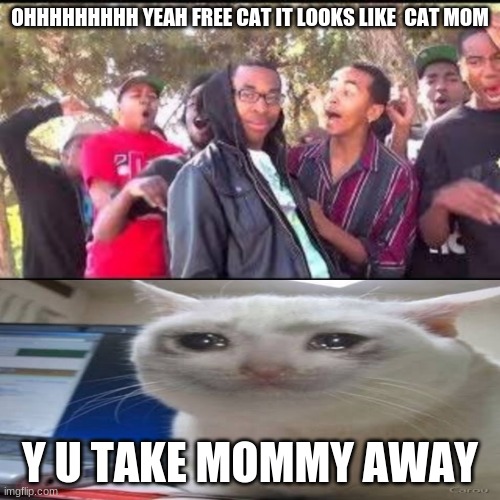 Roasting the Crying Cat | OHHHHHHHHH YEAH FREE CAT IT LOOKS LIKE  CAT MOM; Y U TAKE MOMMY AWAY | image tagged in roasting the crying cat | made w/ Imgflip meme maker