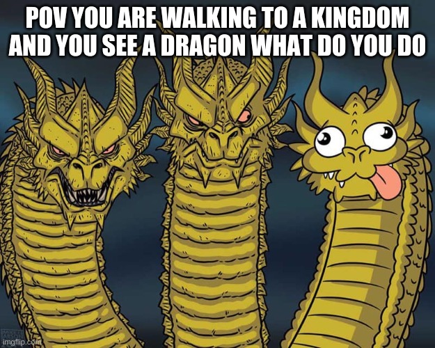 Three dragons | POV YOU ARE WALKING TO A KINGDOM AND YOU SEE A DRAGON WHAT DO YOU DO | image tagged in three dragons | made w/ Imgflip meme maker