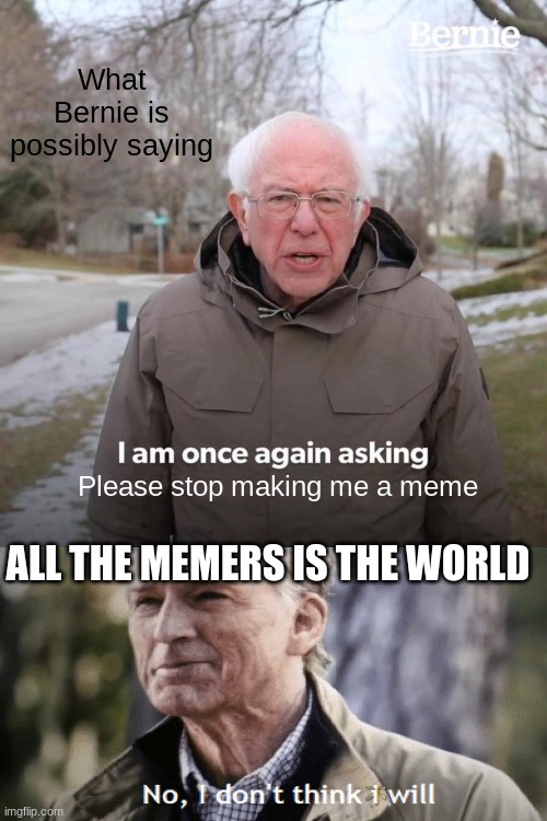 I WILL NEVER | What Bernie is possibly saying; Please stop making me a meme; ALL THE MEMERS IS THE WORLD | image tagged in memes,bernie i am once again asking for your support | made w/ Imgflip meme maker