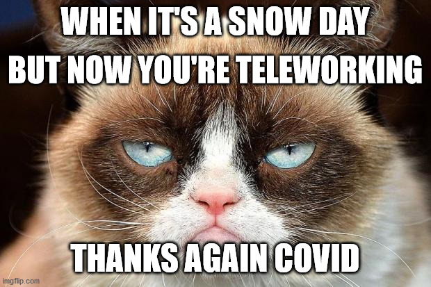 Loss of Snow Day | WHEN IT'S A SNOW DAY; BUT NOW YOU'RE TELEWORKING; THANKS AGAIN COVID | image tagged in memes,grumpy cat not amused,grumpy cat,haiku,telework | made w/ Imgflip meme maker