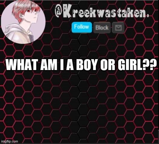 WHAT AM I A BOY OR GIRL?? | made w/ Imgflip meme maker