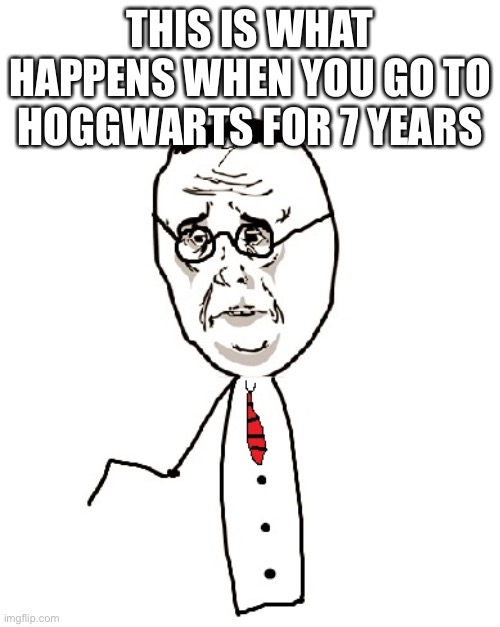 Harry Potter Ok Meme |  THIS IS WHAT HAPPENS WHEN YOU GO TO HOGGWARTS FOR 7 YEARS | image tagged in memes,harry potter ok | made w/ Imgflip meme maker