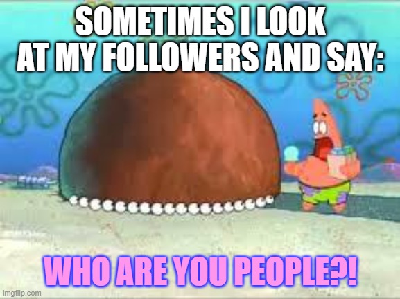 WHO ARE YOU PEOPLE?! | SOMETIMES I LOOK AT MY FOLLOWERS AND SAY:; WHO ARE YOU PEOPLE?! | image tagged in who are you people | made w/ Imgflip meme maker