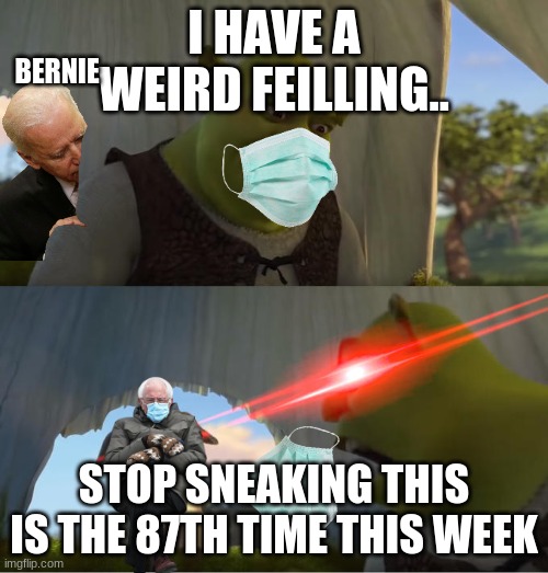 what | BERNIE; I HAVE A WEIRD FEILLING.. STOP SNEAKING THIS IS THE 87TH TIME THIS WEEK | image tagged in shrek for five minutes | made w/ Imgflip meme maker