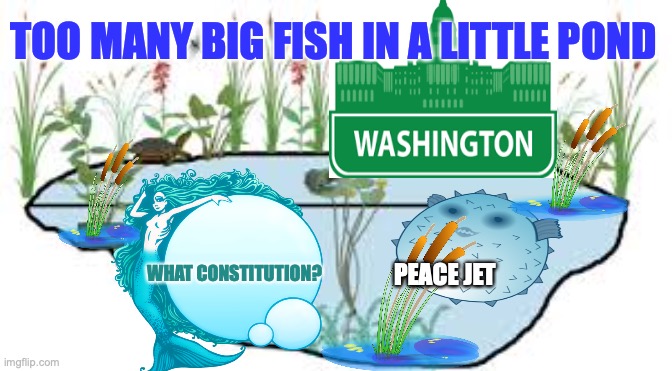 We the People Count | TOO MANY BIG FISH IN A LITTLE POND; WHAT CONSTITUTION? PEACE JET | image tagged in nancy pelosi,chuck schumer,mitch mcconnell,constitution | made w/ Imgflip meme maker