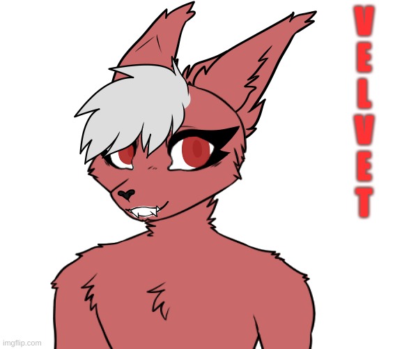 Velvet. One of my Furry characters from my hell universe. | V
E
L
V
E
T | made w/ Imgflip meme maker