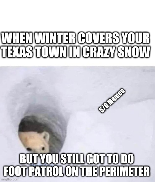 Bonjour | WHEN WINTER COVERS YOUR TEXAS TOWN IN CRAZY SNOW; S/O Memes; BUT YOU STILL GOT TO DO FOOT PATROL ON THE PERIMETER | image tagged in bonjour | made w/ Imgflip meme maker