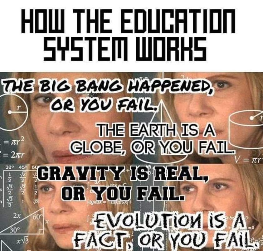 How the education system works Blank Meme Template