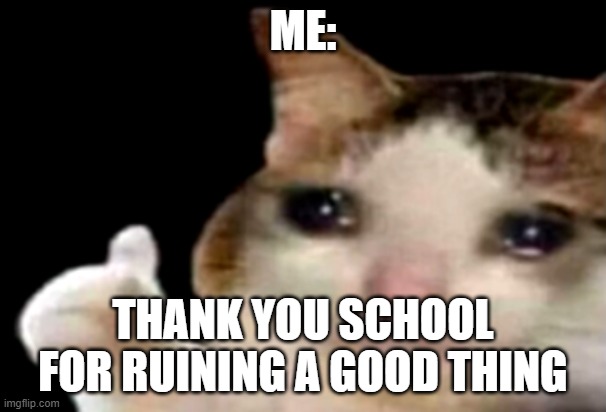 I have to go to school everyday now | ME:; THANK YOU SCHOOL FOR RUINING A GOOD THING | image tagged in sad cat thumbs up | made w/ Imgflip meme maker
