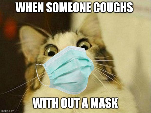  WHEN SOMEONE COUGHS; WITH OUT A MASK | image tagged in face mask | made w/ Imgflip meme maker
