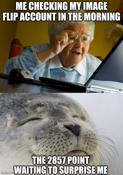 ME CHECKING MY IMAGE FLIP ACCOUNT IN THE MORNING; THE 2857 POINT WAITING TO SURPRISE ME | image tagged in memes,grandma finds the internet,satisfied seal | made w/ Imgflip meme maker