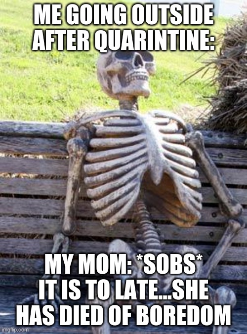 Waiting Skeleton Meme | ME GOING OUTSIDE AFTER QUARINTINE:; MY MOM: *SOBS* IT IS TO LATE...SHE HAS DIED OF BOREDOM | image tagged in memes,waiting skeleton | made w/ Imgflip meme maker