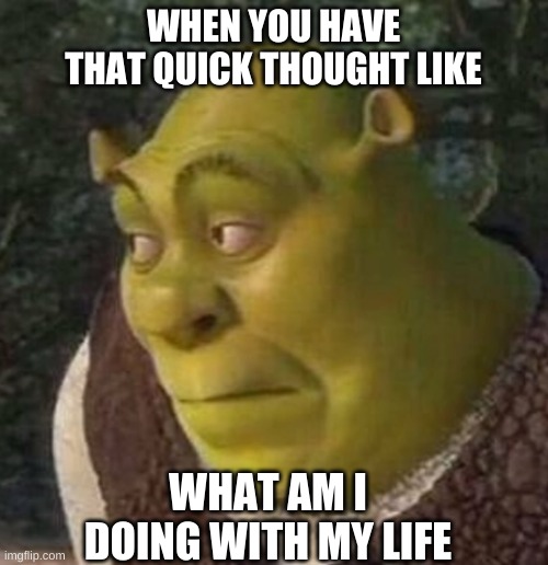 im not the only right | WHEN YOU HAVE THAT QUICK THOUGHT LIKE; WHAT AM I DOING WITH MY LIFE | image tagged in shrek | made w/ Imgflip meme maker