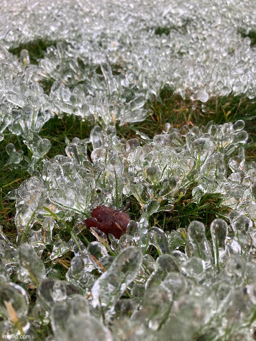 Ice encapsulated grass | image tagged in freezing cold,rain | made w/ Imgflip meme maker