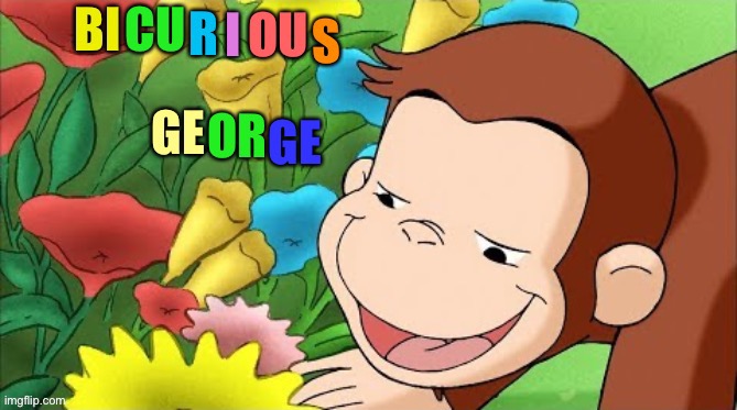 Bicurious George | image tagged in curious,curious george | made w/ Imgflip meme maker