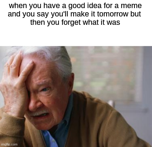 so annoying |  when you have a good idea for a meme
and you say you'll make it tomorrow but 
then you forget what it was | image tagged in blank white template,forgetful old man | made w/ Imgflip meme maker