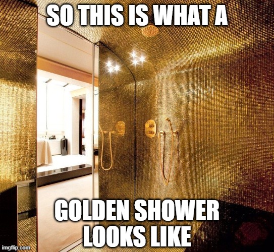 Golden showers make me wet. |  SO THIS IS WHAT A; GOLDEN SHOWER
LOOKS LIKE | image tagged in golden showers,gold,shower | made w/ Imgflip meme maker