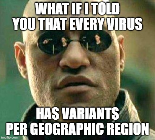 What if i told you | WHAT IF I TOLD YOU THAT EVERY VIRUS; HAS VARIANTS PER GEOGRAPHIC REGION | image tagged in what if i told you | made w/ Imgflip meme maker