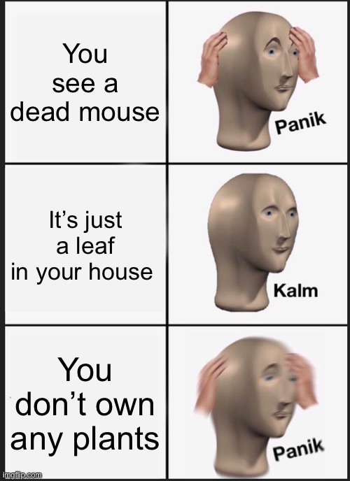 I don’t have any plants! |  You see a dead mouse; It’s just a leaf in your house; You don’t own any plants | image tagged in memes,panik kalm panik | made w/ Imgflip meme maker