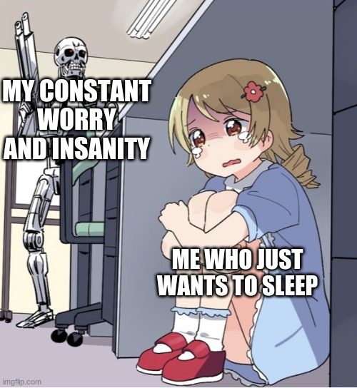 Anime Girl Hiding from Terminator | MY CONSTANT WORRY AND INSANITY; ME WHO JUST WANTS TO SLEEP | image tagged in anime girl hiding from terminator | made w/ Imgflip meme maker