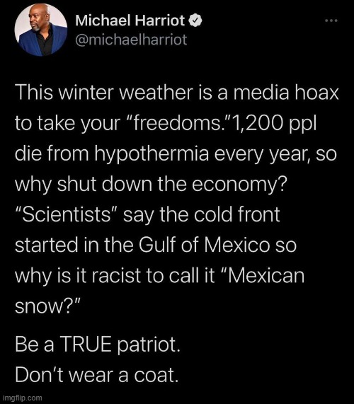 every word is ture maga | image tagged in winter storm conservative logic,maga,conservative logic,winter storm,scientists,conspiracy theories | made w/ Imgflip meme maker